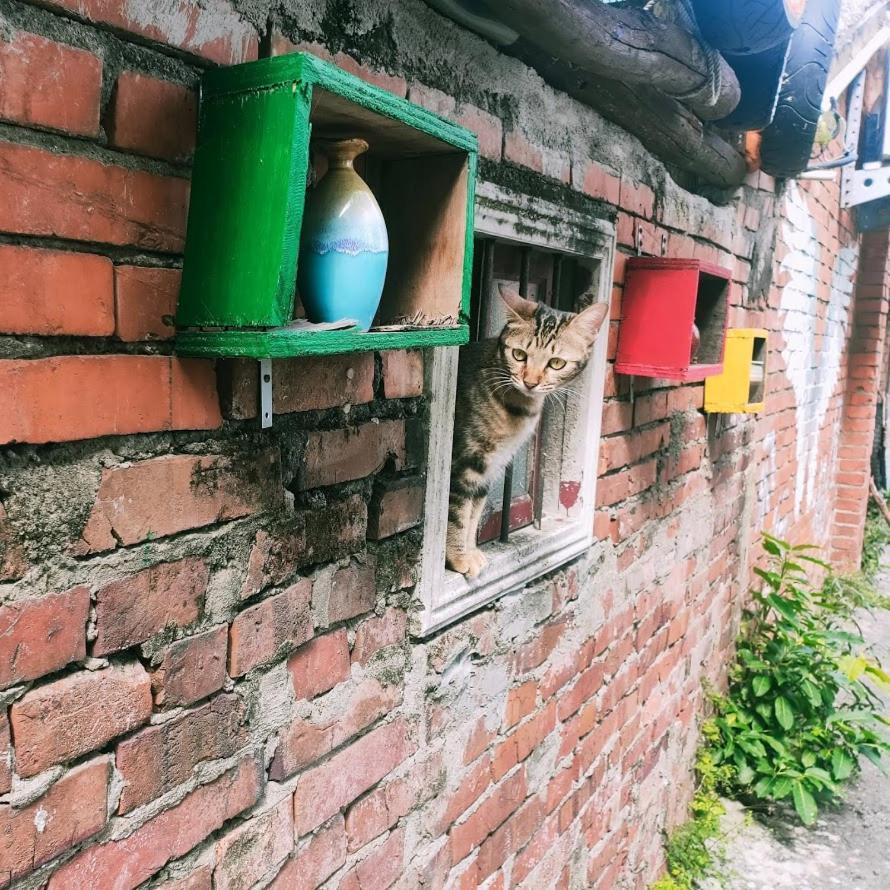 M Hostel貓客棧-清交大藝術眷村客棧 Cidade de Hsinchu Exterior foto